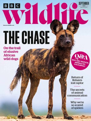BBC Wildlife Magazine - Magazine